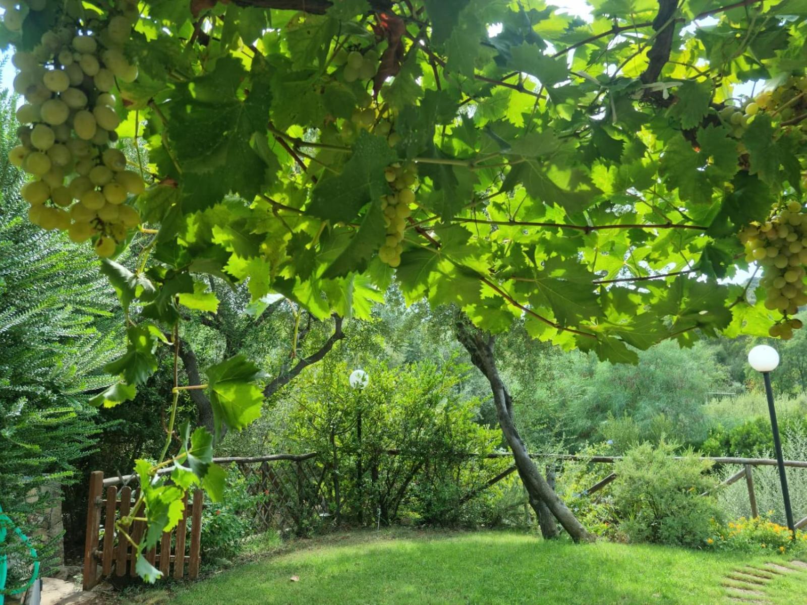 E Mare Villasimius